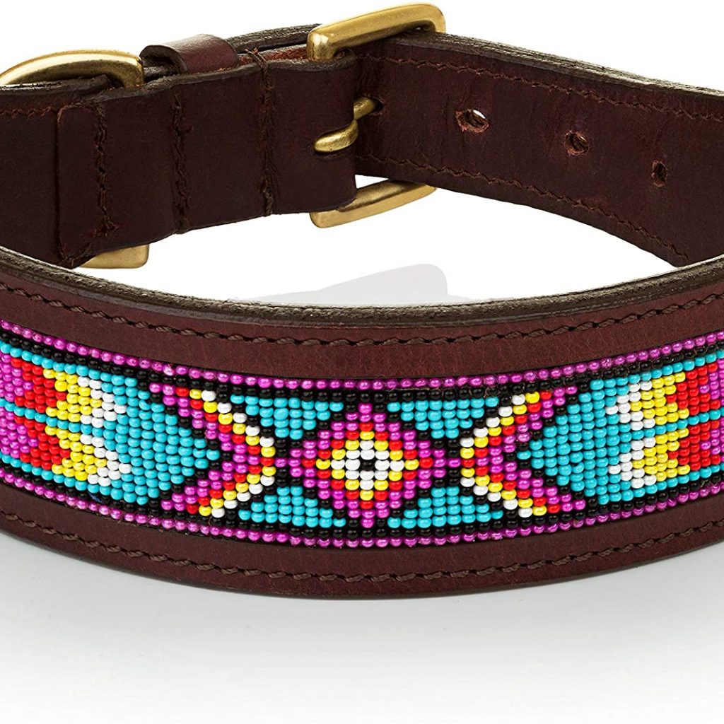 Beaded Dog Collars: The Ultimate Guide For Picking The Right One 