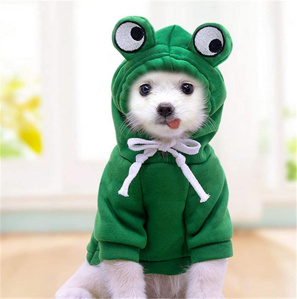 Dog Hoodie - Dog frog costume